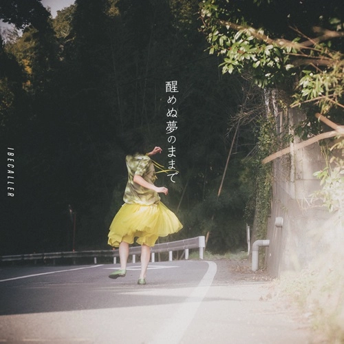 IBECALLER / アイビーカラー / 醒めぬ夢のままで