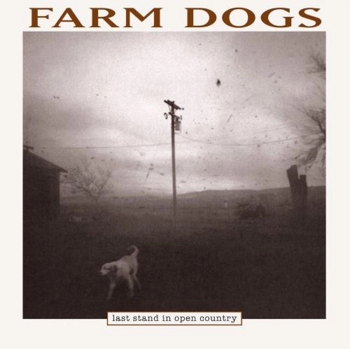 FARM DOGS / LAST STAND IN OPEN COUNTRY [2LP] (BLACK ICE 140 GRAM VINYL, LIMITED, INDIE-EXCLUSIVE) / LAST STAND IN OPEN COUNTRY [2LP] (BLACK ICE 140 GRAM VINYL, LIMITED, INDIE-EXCLUSIVE) 