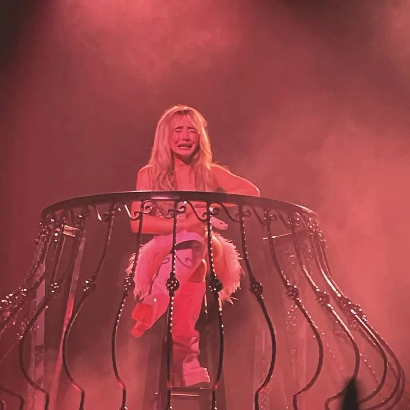 SABRINA CARPENTER / サブリナ・カーペンター / FEATHER [7"] (PINK VINYL, LIMITED, INDIE-EXCLUSIVE) / FEATHER [7"] (PINK VINYL, LIMITED, INDIE-EXCLUSIVE) 