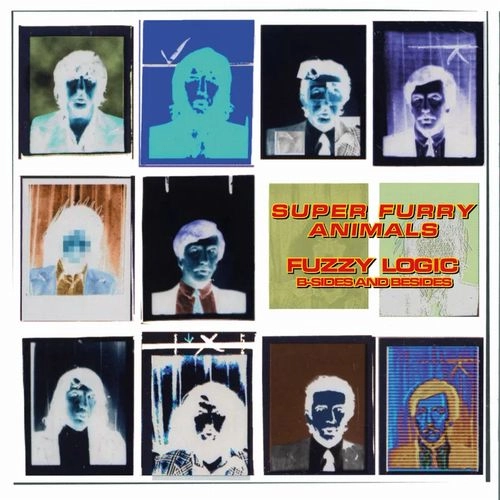 SUPER FURRY ANIMALS / スーパー・ファーリー・アニマルズ / FUZZY LOGIC (B-SIDES & BESIDES) [12"] (GREEN BOTTLE VINYL, LIMITED, INDIE-EXCLUSIVE) / FUZZY LOGIC (B-SIDES & BESIDES) [12"] (GREEN BOTTLE VINYL, LIMITED, INDIE-EXCLUSIVE) 