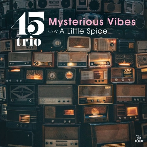 45trio / MYSTERIOUS VIBES / A LITTLE SPICE