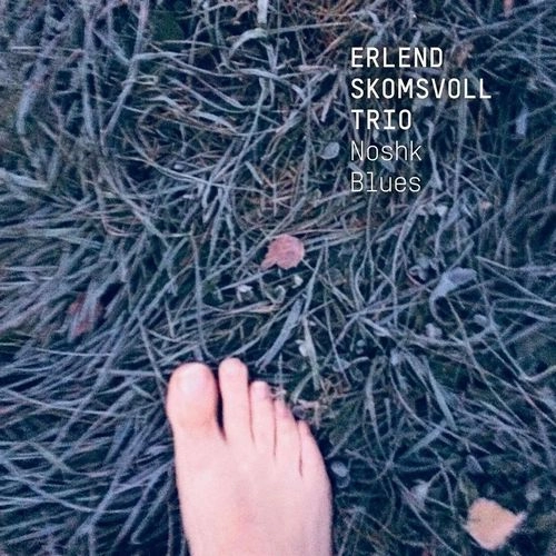 ERLEND SKOMSVOLL / NOSHK BLUES