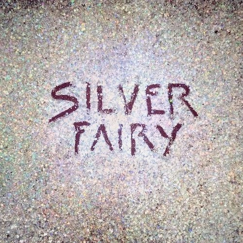 MEGUMI ACORDA / メグミ・アコーダ / シルバー･フェアリー（CD） / SILVER FAIRY