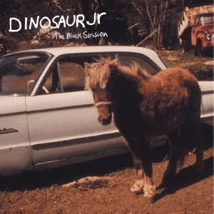 DINOSAUR JR. / ダイナソー・ジュニア / ザ・ブラック・セッション:ライヴ・イン・パリ 1993 / THE BLACK SESSION - LIVE IN PARIS 1993 (LIMITED COLOR VINYL)