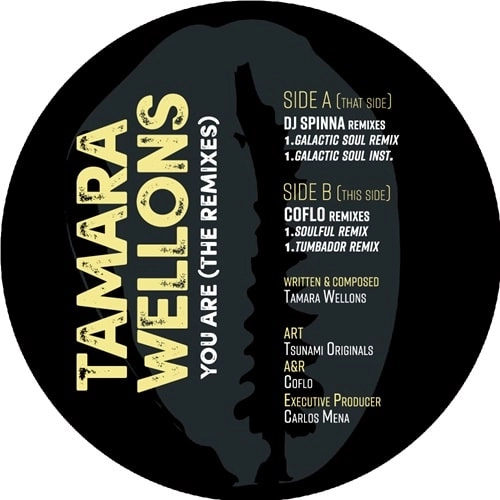 TAMARA WELLONS / YOU ARE (THE REMIXES)