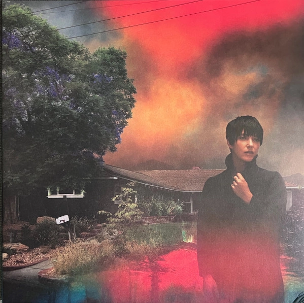 SHARON VAN ETTEN / シャロン・ヴァン・エッテン / WE'VE BEEN GOING ABOUT THIS ALL WRONG