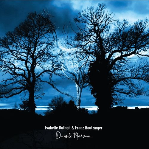 FRANZ HAUTZINGER / フランツ・ホウツィンガー / DANS LE MORVAN