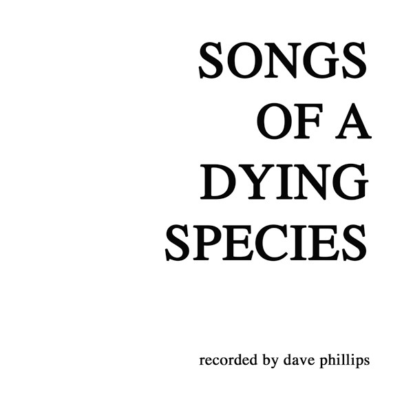 DAVE PHILLIPS / デイヴ・フィリップス / SONGS OF A DYING SPECIES
