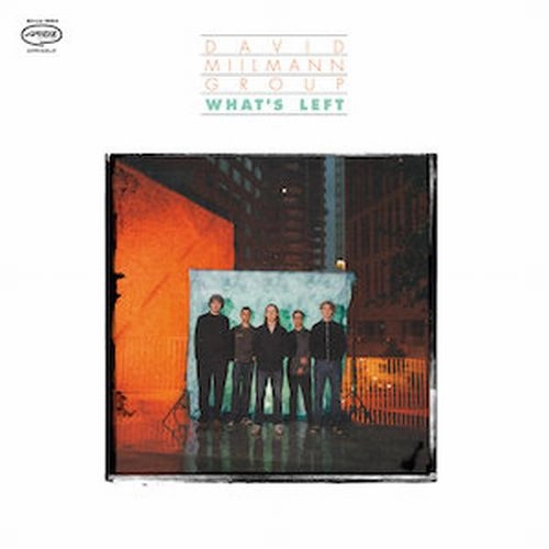 DAVID MIILMANN / WHAT'S LEFT (LP)