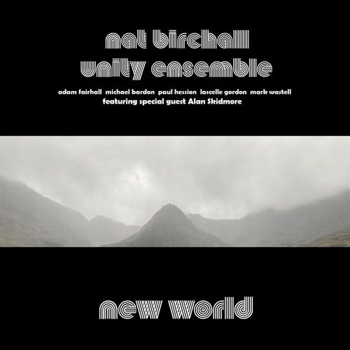 NAT BIRCHALL / ナット・バーチャル / NEW WORLD (LP)