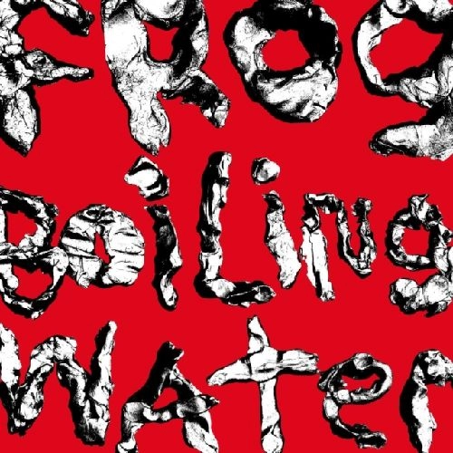 DIIV / ダイヴ / FROG IN BOILING WATER (BLACK VINYL)
