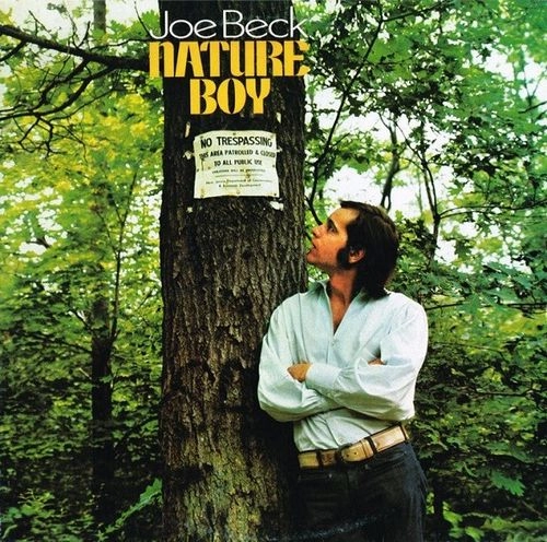 JOE BECK / ジョー・ベック / NATURE BOY