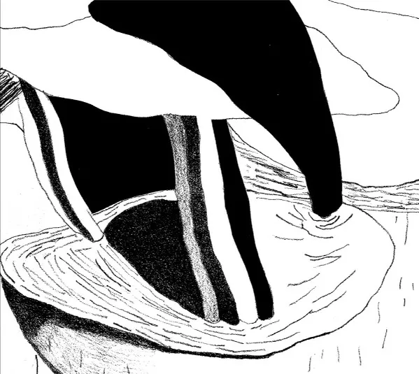 TIAGO SOUSA / RIPPLES ON SURFACE