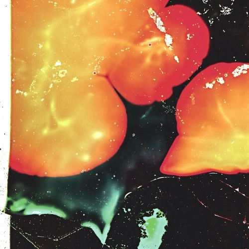 AMALIE DAHL / STAR OP MED SOLEN (LP)