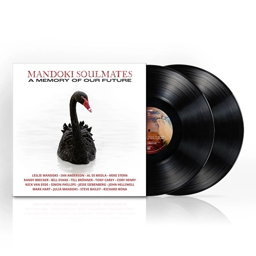 MANDOKI SOULMATES / マンドキ・ソウルメイツ / A MEMORY OF OUR FUTURE: LIMITED DOUBLE VINYL