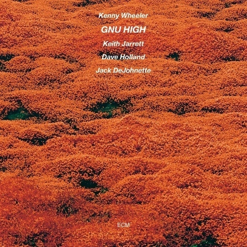 KENNY WHEELER / ケニー・ホイーラー / ヌー・ハイ(SHM-CD) / GNU HIGH