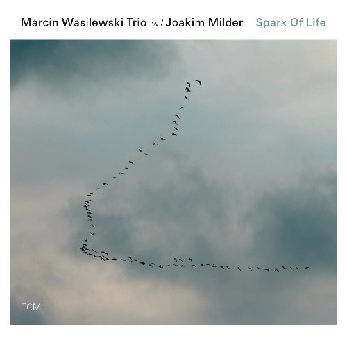 MARCIN WASILEWSKI TRIO / マルチン・ボシレフスキ・トリオ / スパーク・オブ・ライフ(SHM-CD) / SPARK OF LIFE