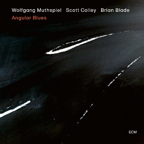 WOLFGANG MUTHSPIEL / ウォルフガング・ムースピール / アンギュラー・ブルース(SHM-CD) / ANGULAR BLUES