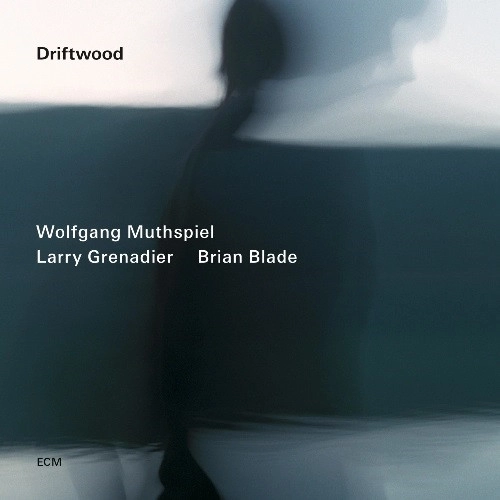 WOLFGANG MUTHSPIEL / ウォルフガング・ムースピール / ドリフトウッド(SHM-CD) / DRIFTWOOD