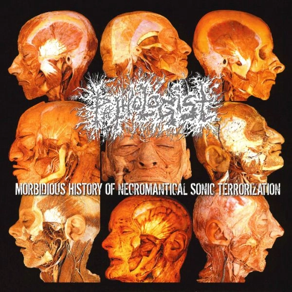 PATHOLOGIST / パソロジスト / 病理学者による解体全書～局部摘出の手引き～ / Morbidious History Of Necromantical Sonic Terrorization