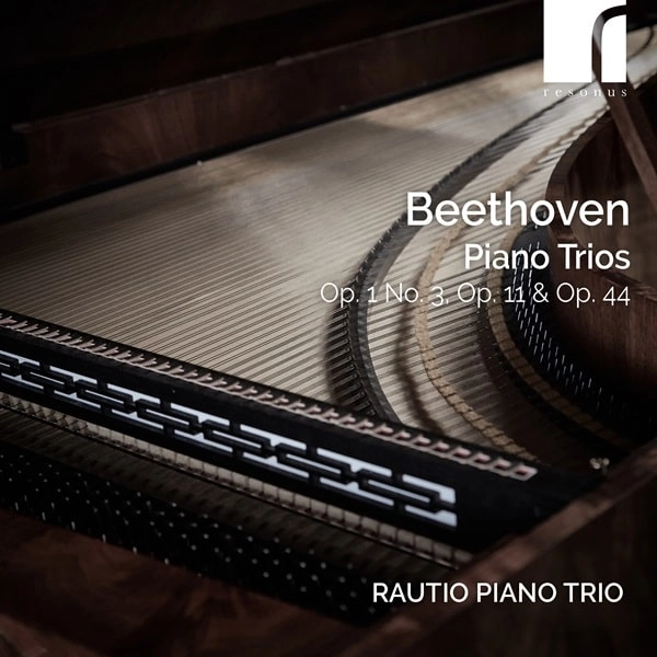 RAUTIO PIANO TRIO / ラウティオ・ピアノ・トリオ / BEETHOVEN:PIANO TRIO NO.3&4/VARIATIONS OP.44