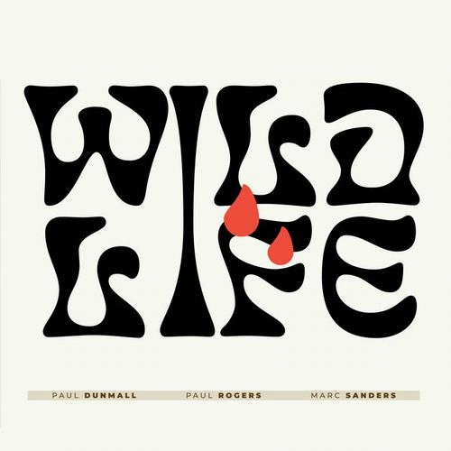 PAUL DUNMALL / ポール・ダンモール / WILDLIFE W/PAUL ROGERS - MARK SANDERS