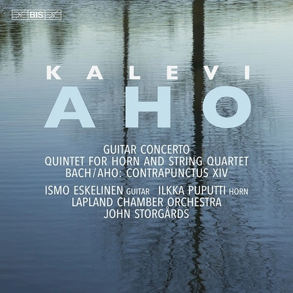 JOHN STORGARDS / ヨン・ストゥルゴーズ / AHO:GUITAR CONCERTO/QUINTET FOR HORN/STRING QUARTET