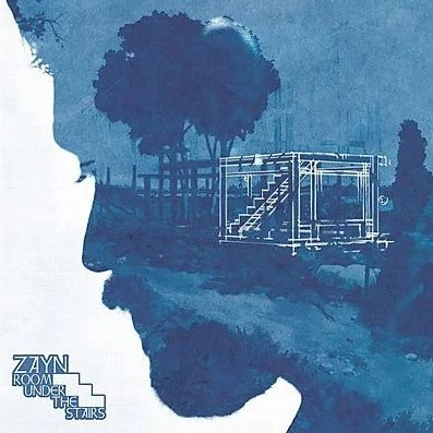 ZAYN / ゼイン / ROOM UNDER THE STAIRS (LP) / ROOM UNDER THE STAIRS