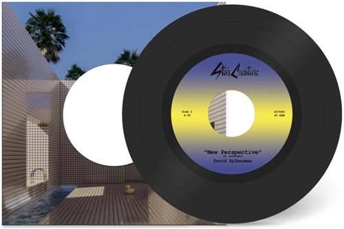 DAVID ZYLBERMAN / NEW PERSPECTIVE / SOLSTICE