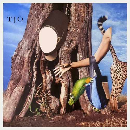 TARA JANE O'NEIL / タラ・ジェイン・オニール / ザ･クール･クラウド･オブ･オーケイネス / THE COOL CLOUD OF OKAYNESS
