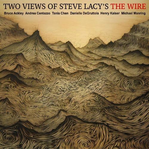 HENRY KAISER / ヘンリー・カイザー / TWO VIEWS OF STEVE LACYS THE WIRE