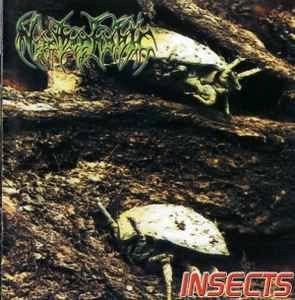 NYCTOPHOBIC / INSECTS