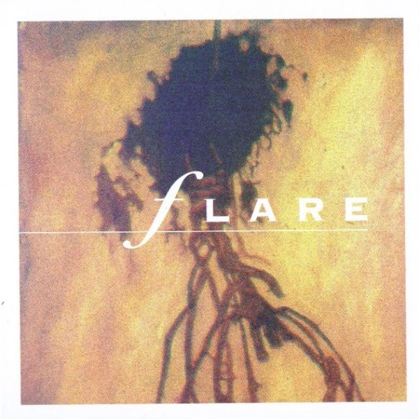 FLARE / BOTTOM