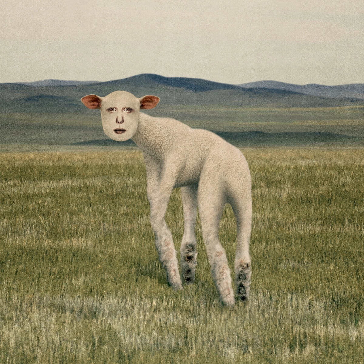 THORNAPPLE / ソーンアップル / ANIMAL(EP)