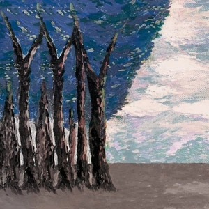DARIN / FOREST