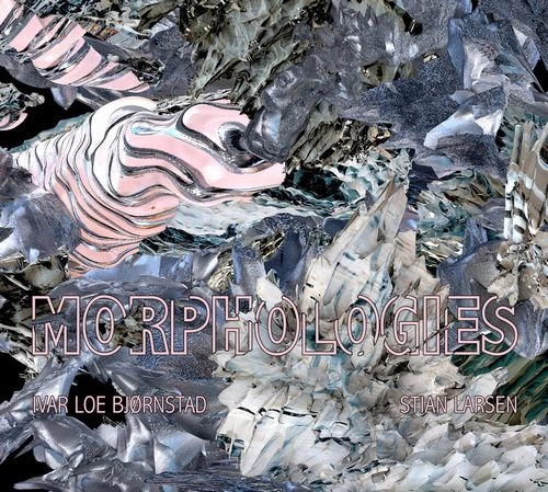 STIAN LARSEN / MORPHOLOGIES