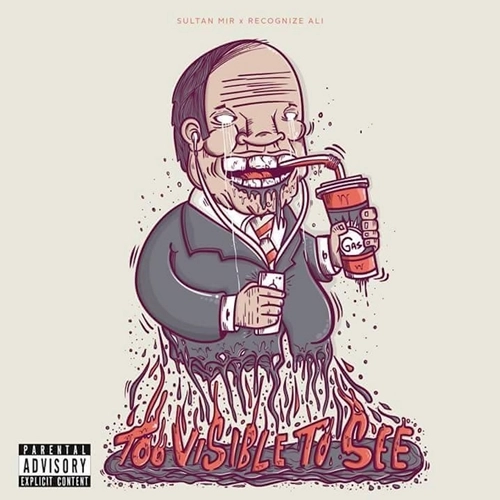SULTAN MIR X RECOGNIZE ALI / TOO VISIBLE TOO SEE