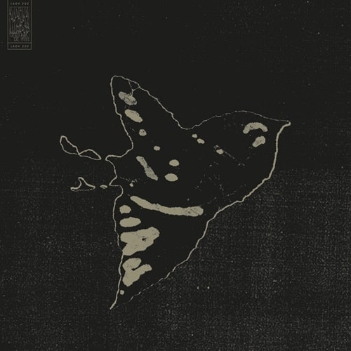 DAITRO / DES CENDRES, JE ME CONSUME (12")