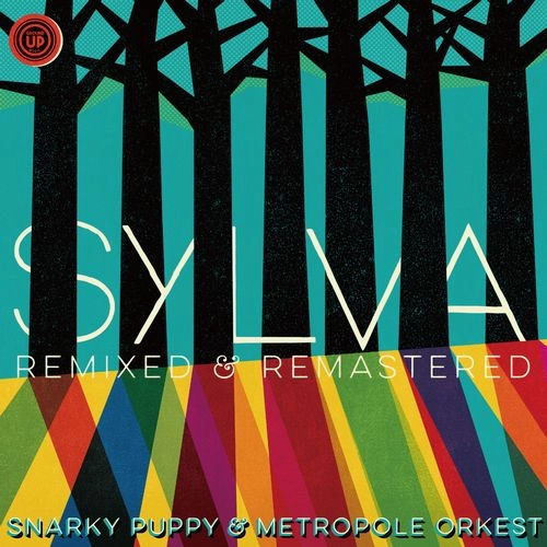 SNARKY PUPPY / スナーキー・パピー / シルヴァ【リミックス&リマスター】