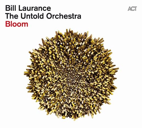 BILL LAURANCE / ビル・ローレンス / BLOOM (LP)