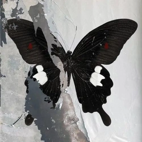 DEATH CULT / デス・カルト / PARADISE NOW (VINYL)