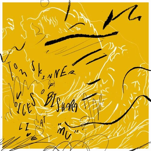 TOM SKINNER / トム・スキナー / VOICES OF BISHARA LIVE AT "MU" (2LP)