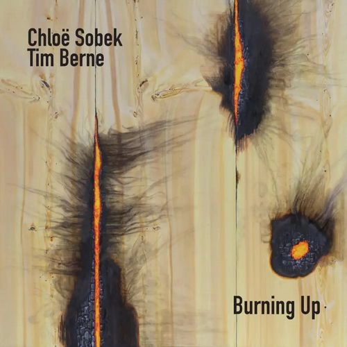 CHLOE SOBEK / BURNING UP
