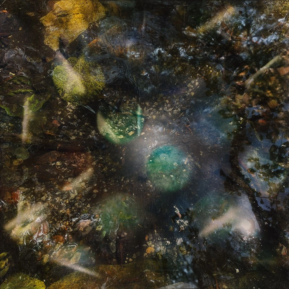 GREEN-HOUSE / A HOST FOR ALL KINDS OF LIFE (LP)