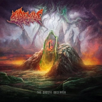 DEVIL'S REEF / THE DROSTE OBSERVER<VINYL>