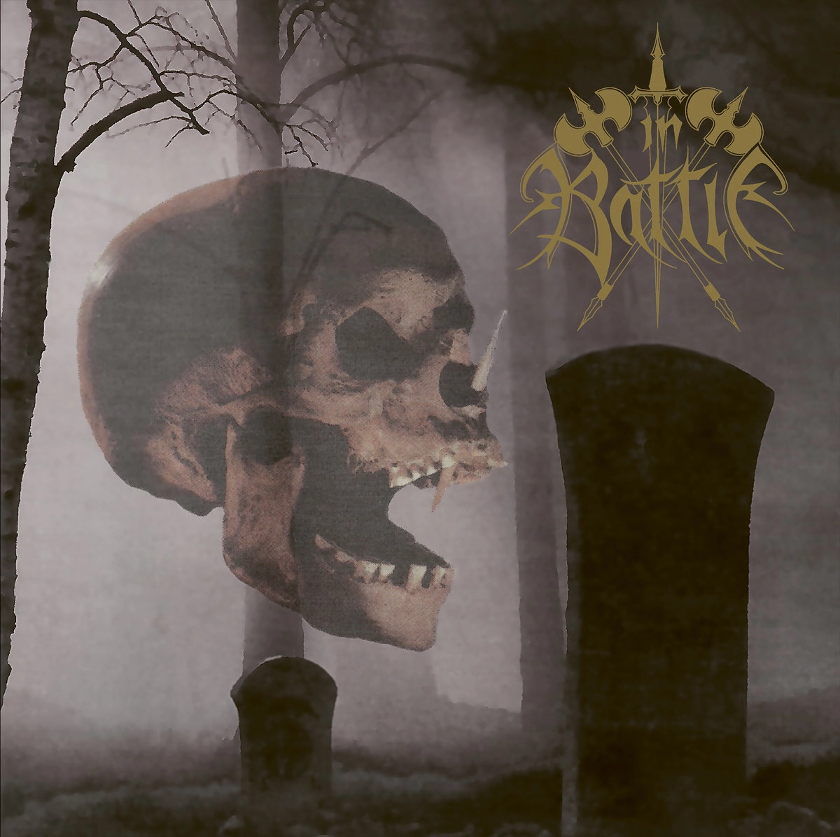 IN BATTLE / IN BATTLE