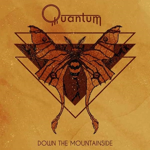 QUANTUM (SWEDEN) / クァンタム / DOWN THE MOUNTAINSIDE : LIMITED VINYL