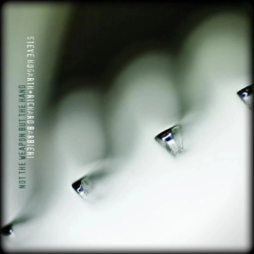 STEVE HOGARTH/RICHARD BARBIERI / NOT THE WEAPON BUT THE HAND