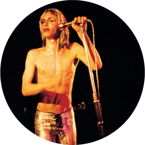 IGGY POP / STOOGES (IGGY & THE STOOGES) / イギー・ポップ / イギー&ザ・ストゥージズ / MORE POWER (PICTURE DISC LP)