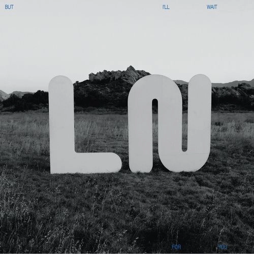 LOCAL NATIVES / ローカル・ネイティヴス / BUT I'LL WAIT FOR YOU [CD]